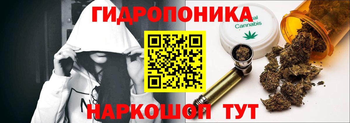 Химки  Конопля гибрид  Бошки Шишки Ganja  МАРИХУАНА план  Вход с VPN  Бошки Шишки семена 